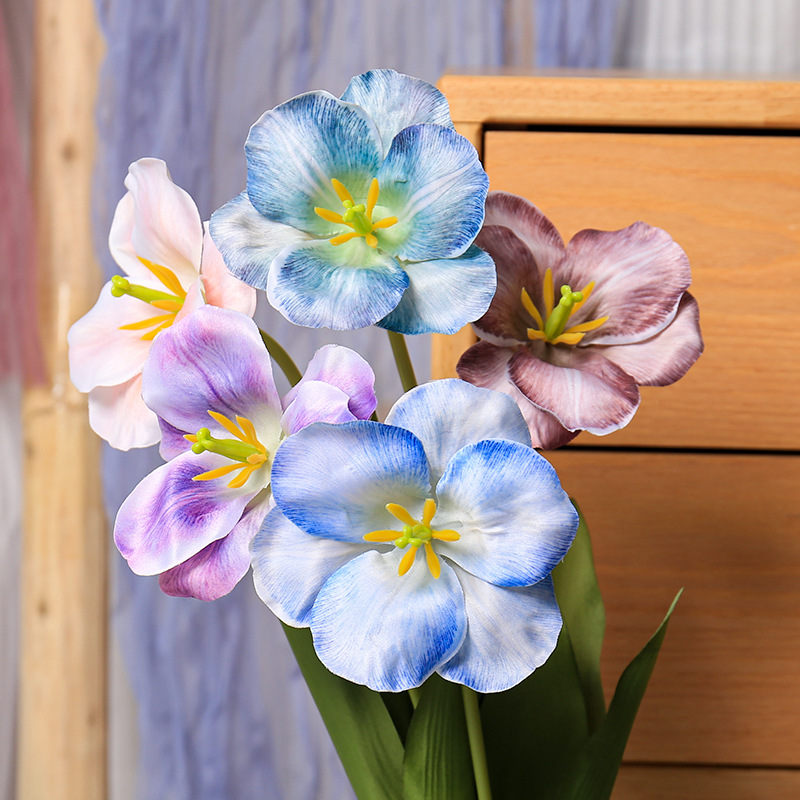Photography Wedding - 5pc 54cm Flip Tulip Gradient Multicolor