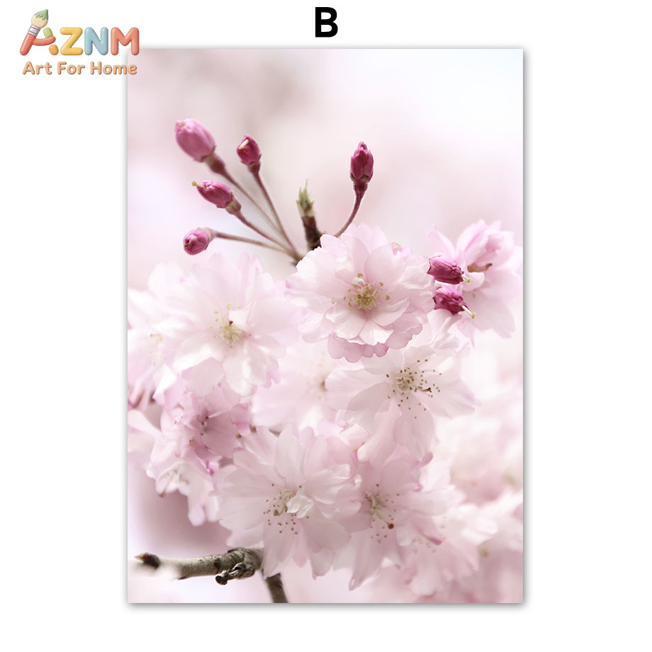 AZNM Pink Cherry Blossom Canva - Photography Quotes review and price