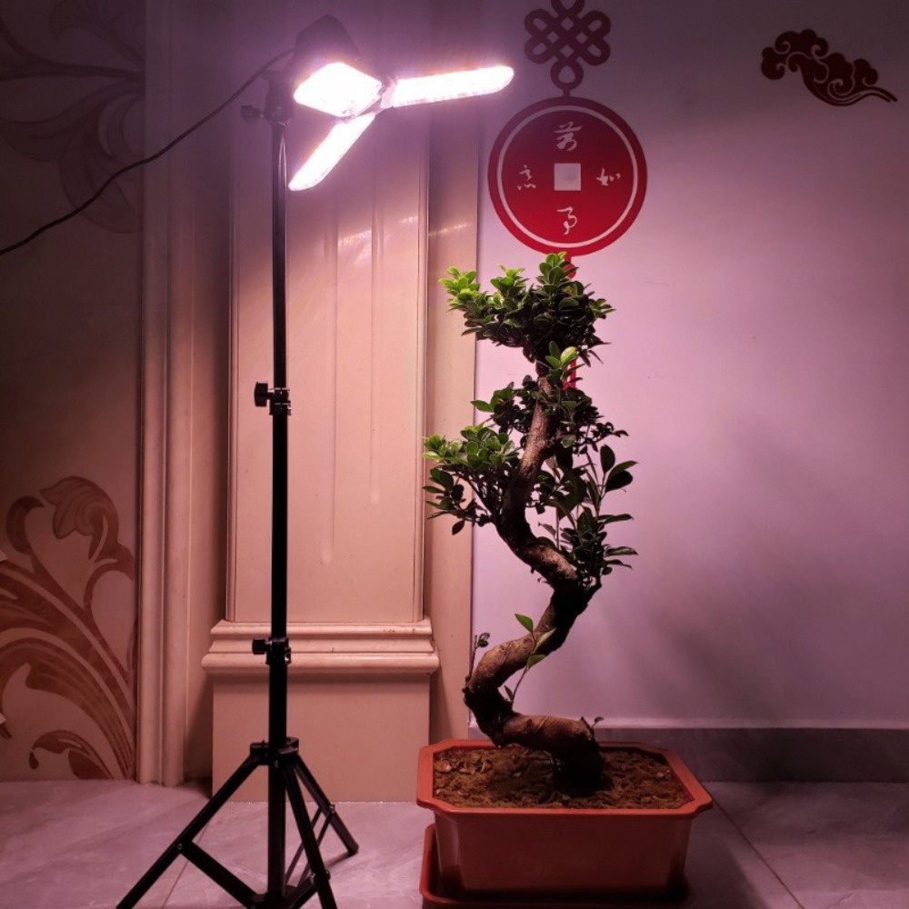 Light Bulb Stand 2M, E27 AC So - Photography Bulb review and price