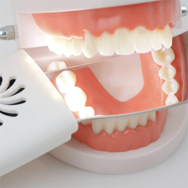 Dental Anti-Fog Mirrors With L - Photography Yellow review and price