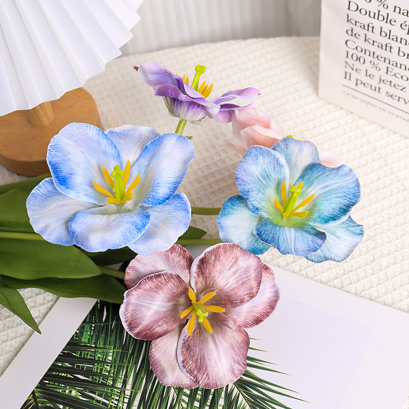5pc 54cm Flip Tulip Gradient M - Photography Wedding review and price