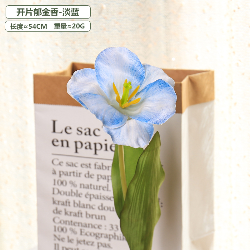 5pc 54cm Flip Tulip Gradient M - Photography Wedding review and price