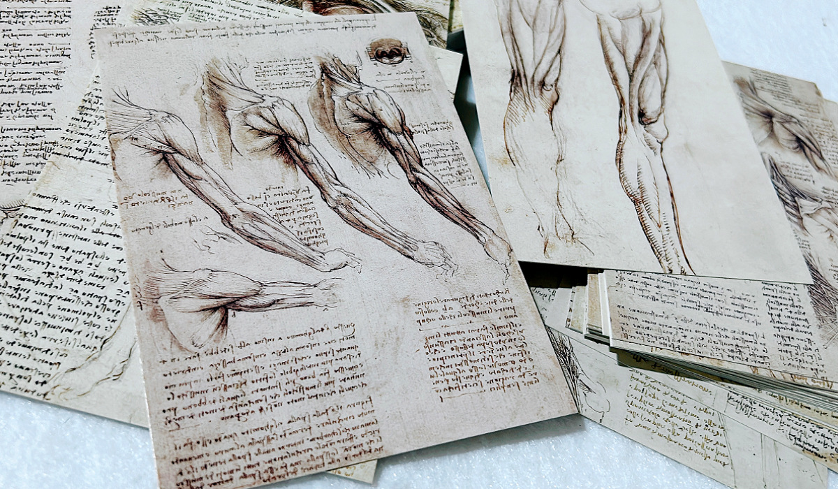 30Sheets/Lot Leonardo Da Vinci - Photography Types review and price