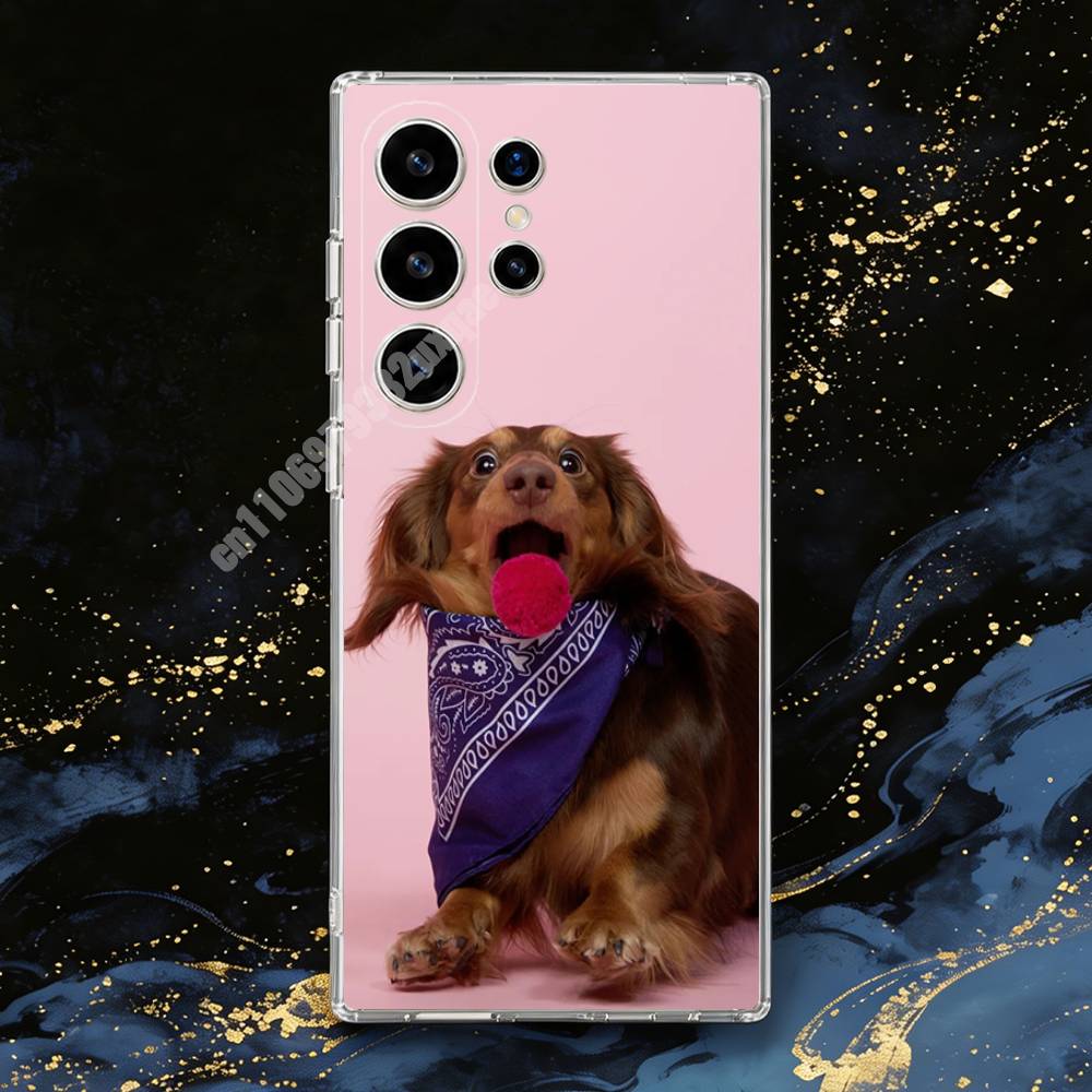 Dachshund Dog Photography Phon - Photography Quotes review and price